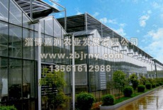 多(duō)肉植物(wù)清盛錦養護、繁殖方法