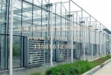 溫室大(dà)棚逆溫現(xiàn)象的(de)産生(shēng)與防範