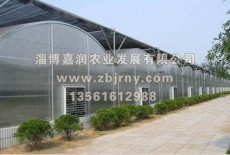 多(duō)肉植物(wù)棚廠(chǎng)家(jiā)分(fēn)享：多(duō)肉在園林(lín)的(de)應用(yòng)