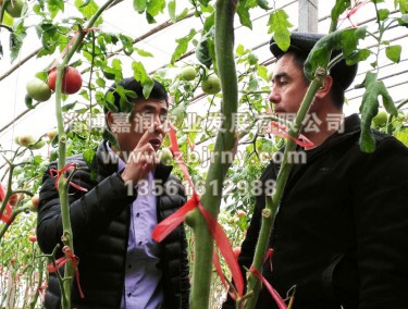 張總與哈薩克斯坦技(jì)術(shù)人(rén)員(yuán)交流