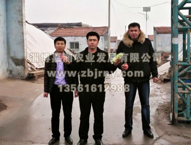 張總與哈薩克斯坦技(jì)術(shù)人(rén)員(yuán)進棚區(qū)參觀留念