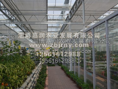 連棟溫室工(gōng)程
