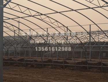 多(duō)肉植物(wù)在建骨架