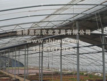 多(duō)肉養殖2代棚