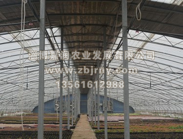 多(duō)肉養殖2代棚