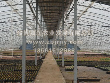 多(duō)肉養殖2代棚