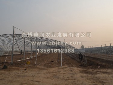 多(duō)肉植物(wù)在建骨架