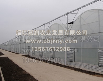 連棟溫室工(gōng)程