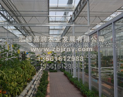 連棟溫室工(gōng)程