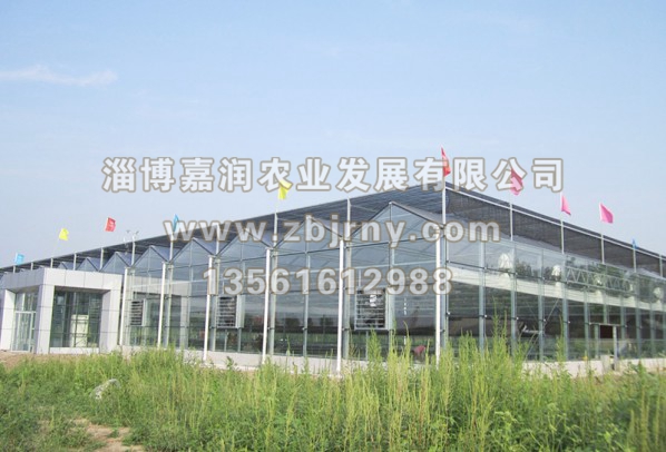 溫室大(dà)棚建設