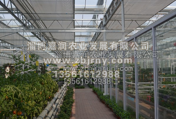 山(shān)東(dōng)育苗溫室建設