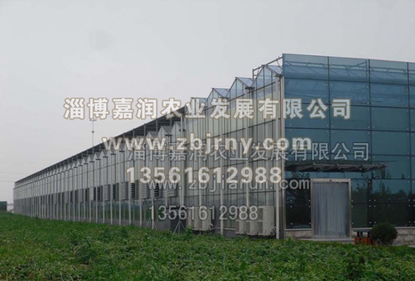 連棟溫室工(gōng)程